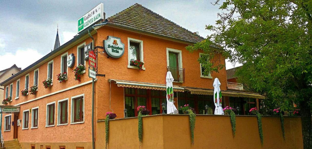 Gruener Baum Hotel Neckargerach ภายนอก รูปภาพ